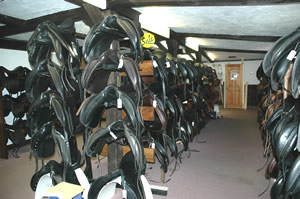 Here’s a peek inside our saddle room. We stock over 400 new & used saddles for all English disciplines; Dressage, Close Contact, Hunter/Jumper, Event, Children’s, and more