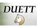 Duett Saddles