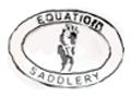 Equation Saddles