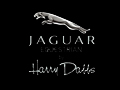 Jaguar Saddles