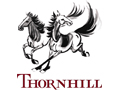 Thornhill Saddles