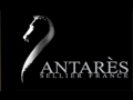 Antars Saddles